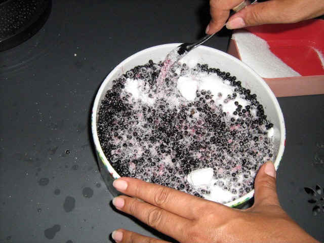 making elderberry jelly