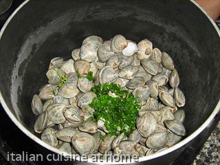 venus clams