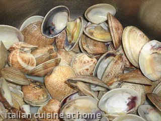 striped venus clams